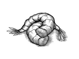 Shrimp woodcut